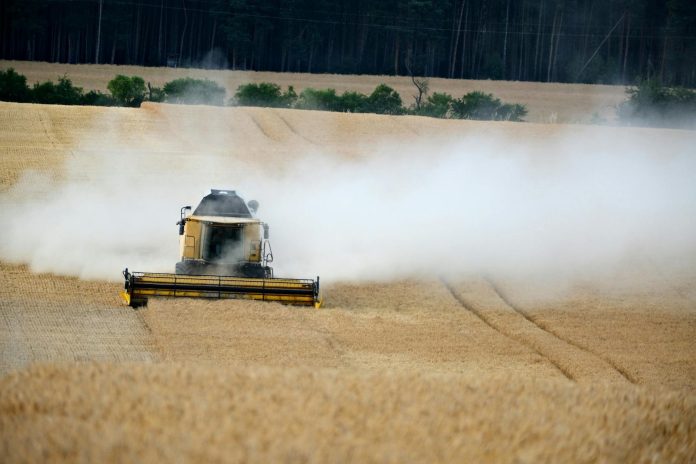 EU agrár-pénzek: Tisza-kormányzati kontextus — Dusty combine harvester working through a golden wheat field on a summer day.