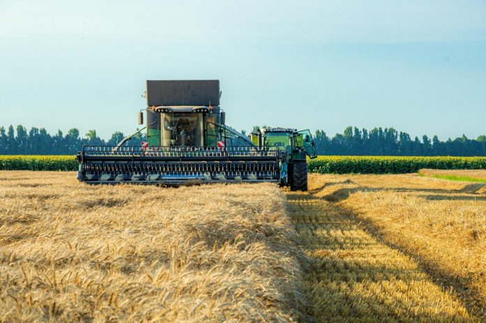 Mezőgazdasági támogatások: Forbes-listás összefüggések — A combine harvester working in a rural wheat field during a sunny day.