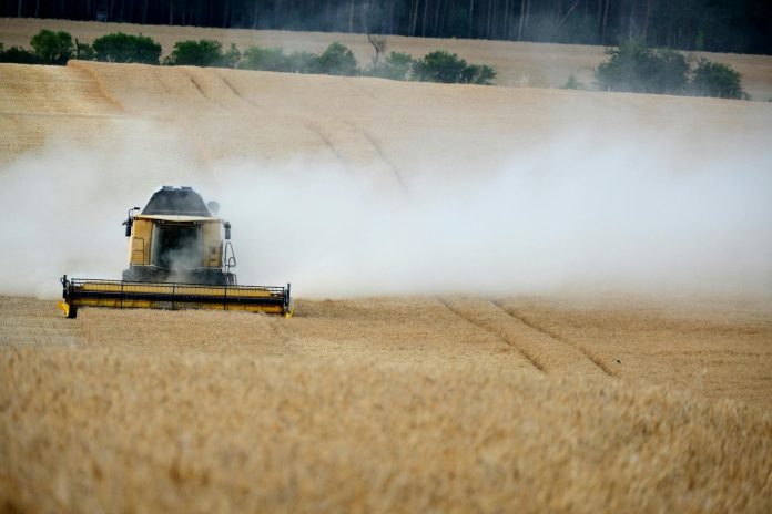 Földbirtokok: K-Monitor adatok tükrében — A combine harvester working on a wheat field, creating dust clouds.