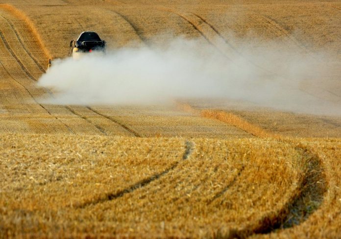 Mezőgazdasági támogatások: EU-szabályozói feltételek — A combine harvester moves through a wheat field, creating dust clouds under a cl