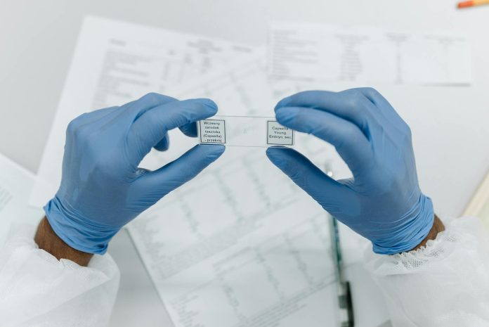 Befektetői helyzetjelentés: publikus források áttekintése — Researcher holds labeled microscope slides wearing blue gloves, in a laboratory